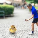 A game has been released on Android and iOS in which you can catch Pokemon in real life